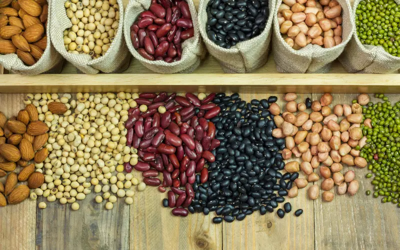 Có nhiều nguồn protein thực vật khác nhau, đa dạng