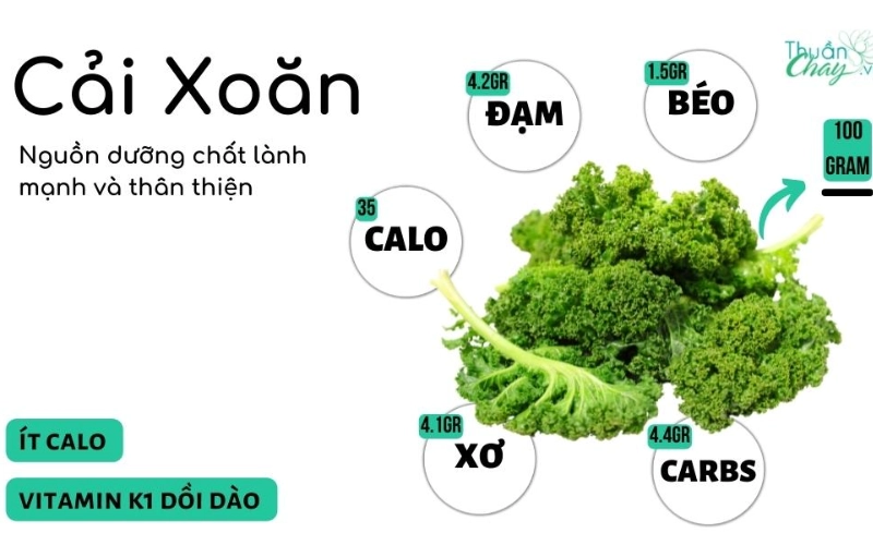 Cải xoăn thực phẩm dồi dàu dinh dưỡng