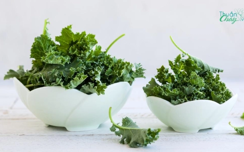 Cải xoăn thực phẩm dồi dàu dinh dưỡng