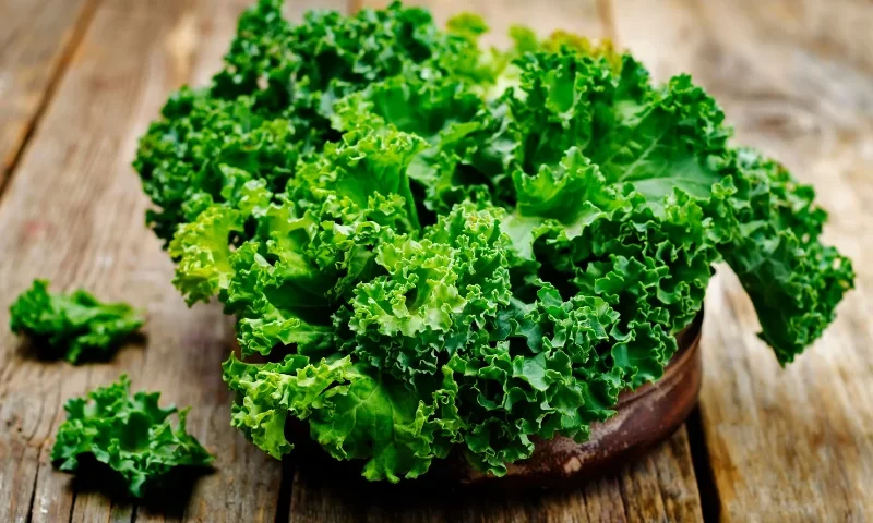 Cải xoăn thực phẩm dồi dàu dinh dưỡng
