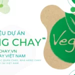 dự án đồng chay