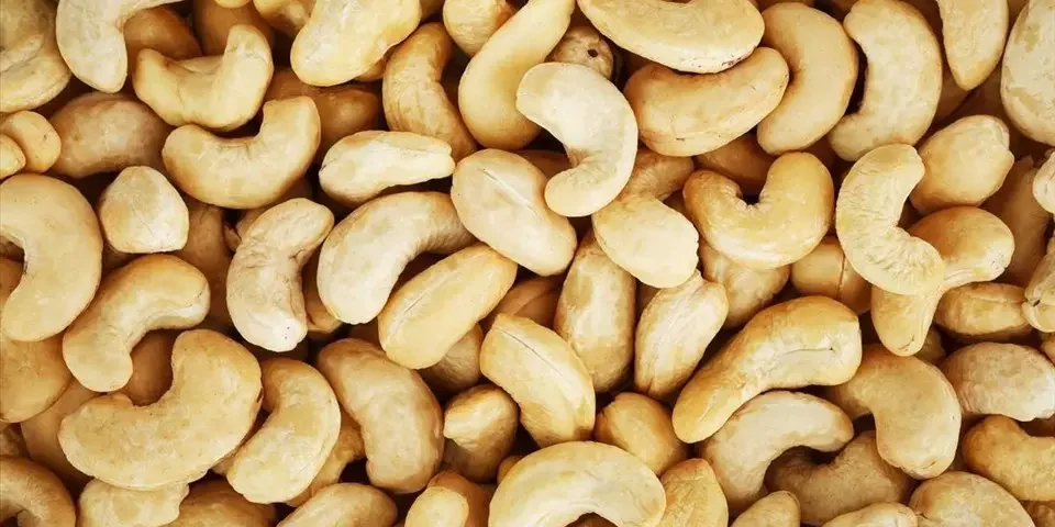 Dinh dưỡng hạt điều