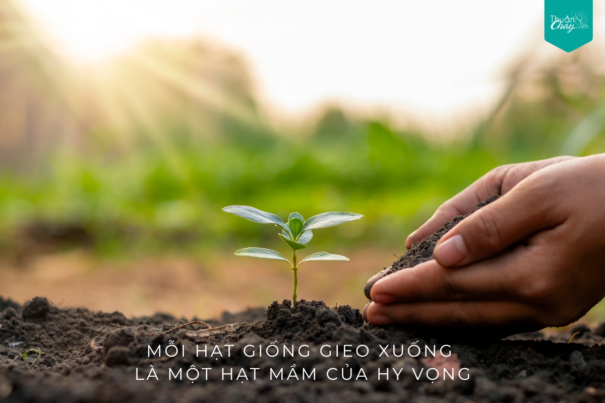 Gieo một hạt mầm