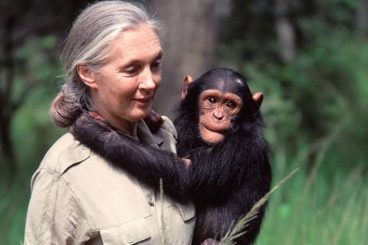 Jane Goodall
