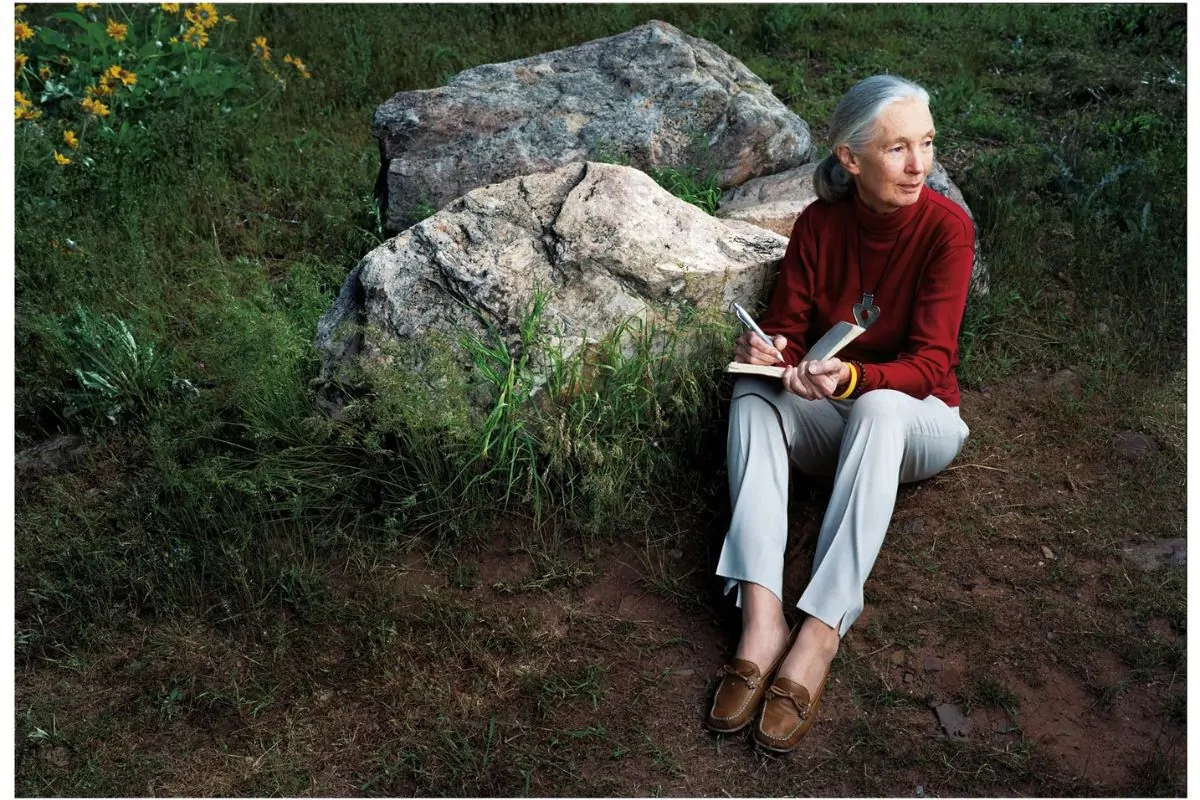 Jane Goodall