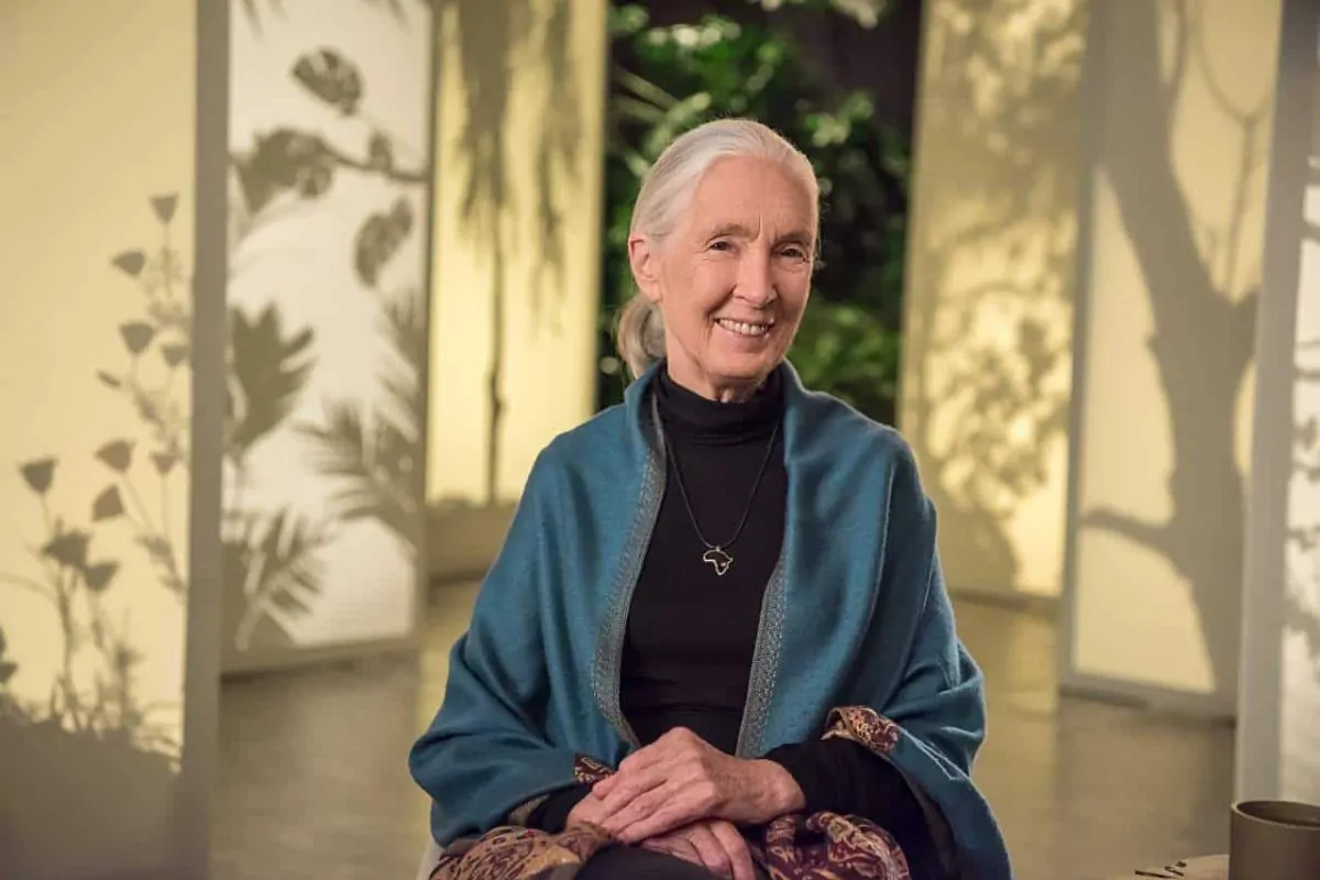 Jane Goodall