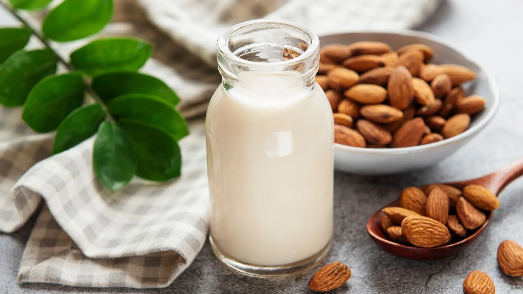 Sữa hạt giàu dinh dưỡng cho cơ thể