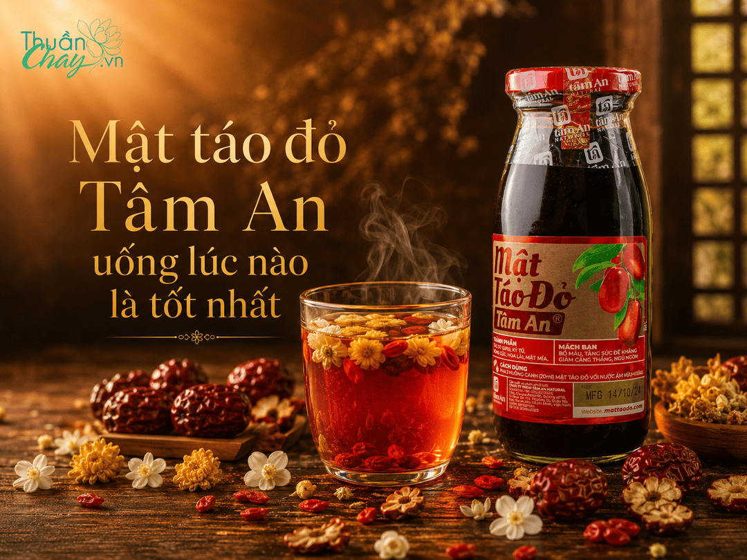 Mật táo đỏ Tâm An uống lúc nào tốt nhất