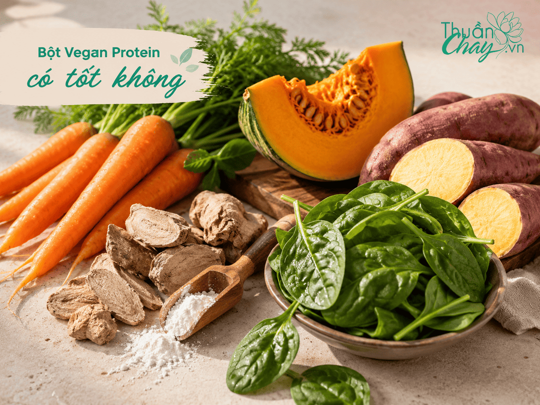 bột vegan protein có tốt không 