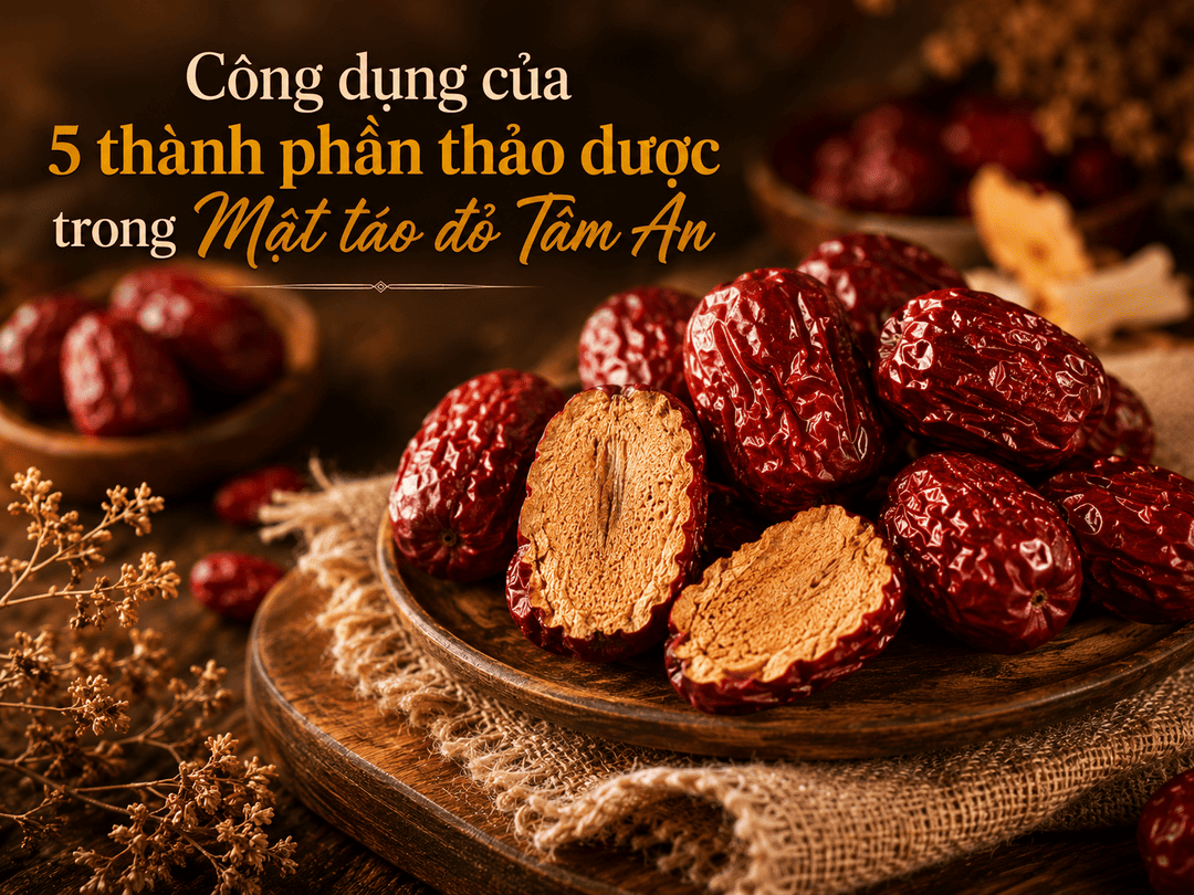 Công Dụng Của 5 Thành Phần Thảo Mộc Trong Mật Táo Đỏ Tâm An 3 Công dụng của 5 thành phần thảo mộc trong Mật táo đỏ Tâm An