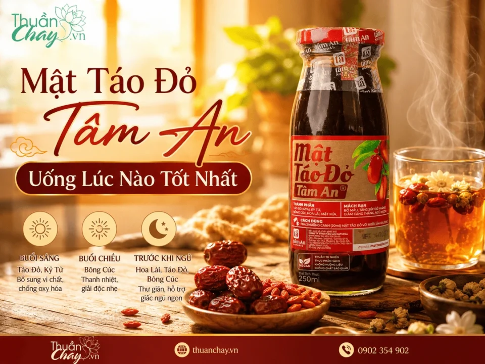 Mật Táo Đỏ Tâm An Uống Lúc Nào Tốt Nhất